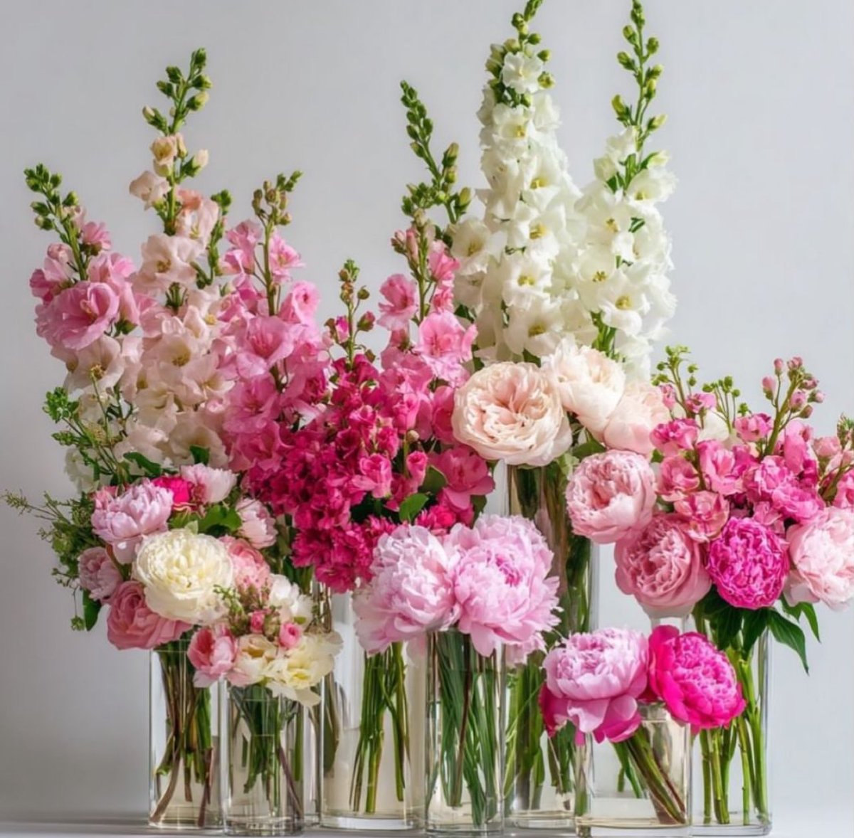 EvaLovesDesign's tweet photo. 🌸 Blooming with positivity 🌸 https://t.co/JRyie6wBqi
