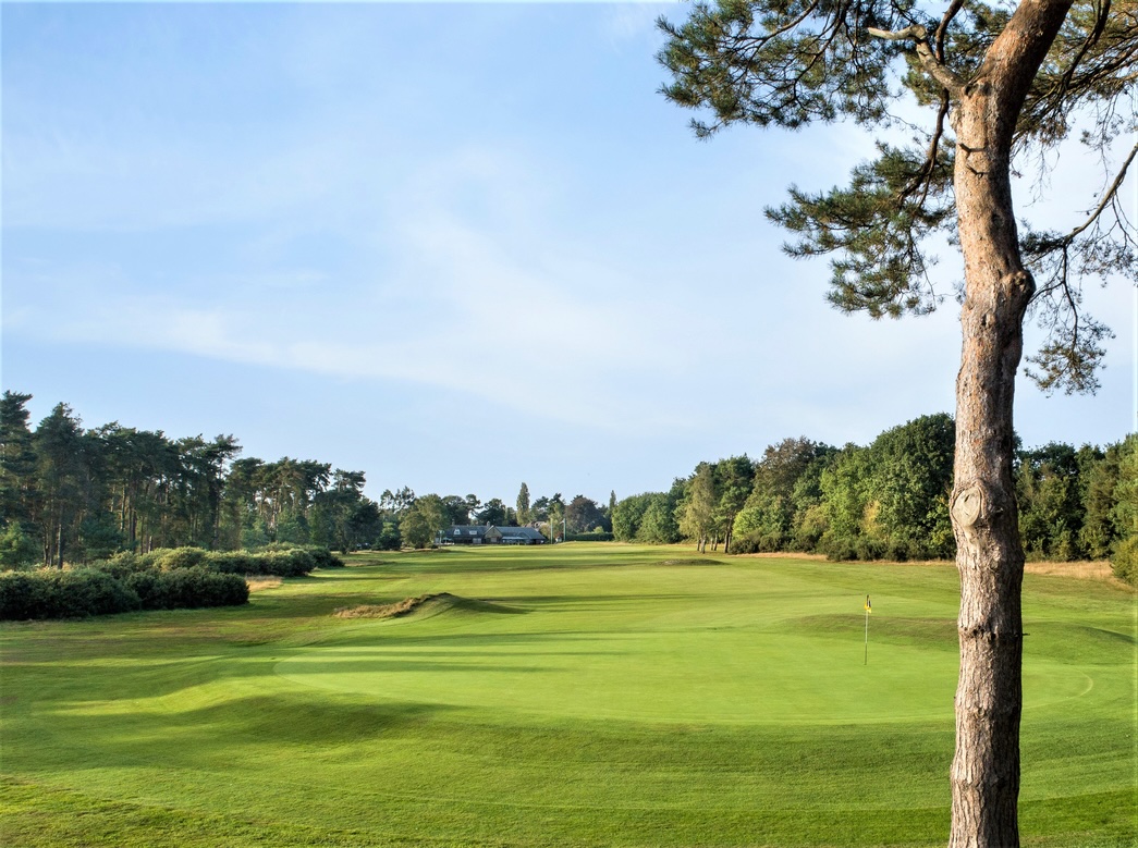countygolfclub's tweet image. Bookings for our PGA Pro-Am on Monday 6th July are almost full.  One of the great golfing days of the year with an 18-hole tournament, great food and prizes - it is not a day to be missed.  Secure your teams place now.  Visit: tinyurl.com/3mfjbvts
#Golf #golfing