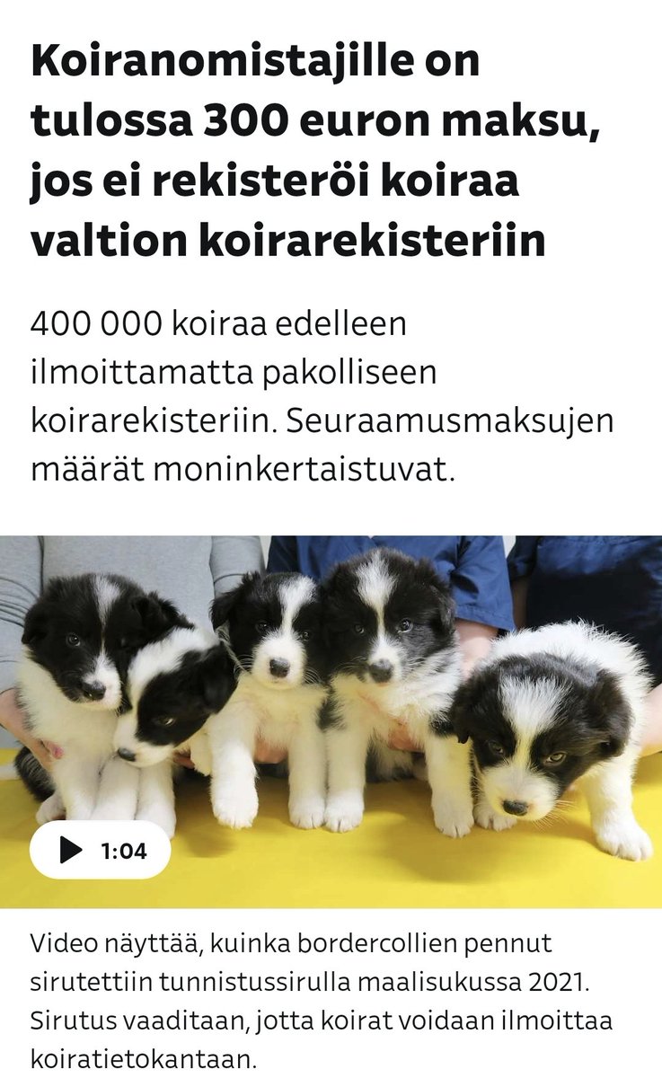 Saara Lifflander tweet media