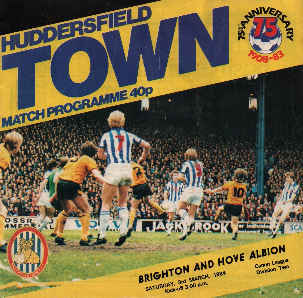 Seagulls Programmes tweet media