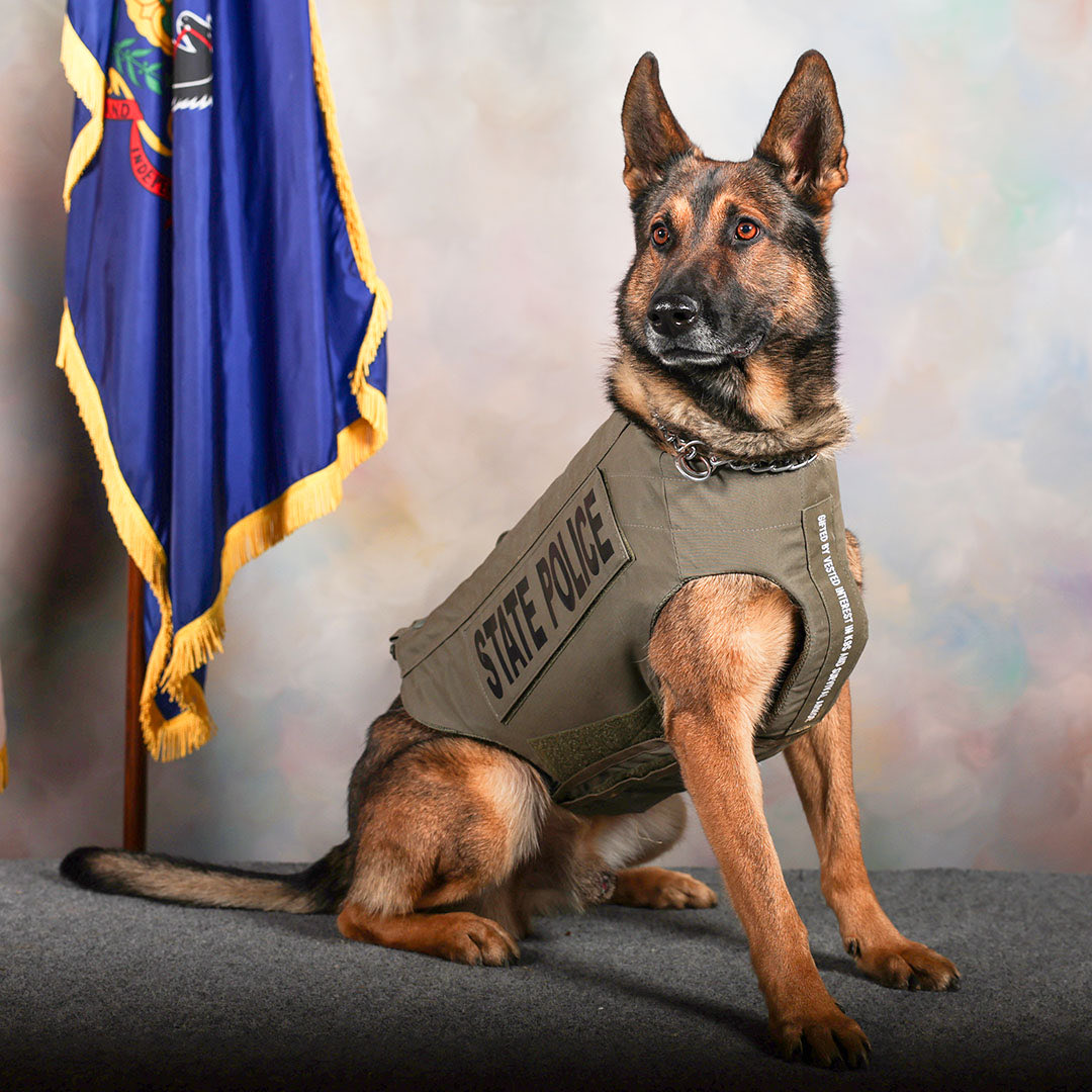 Chris O'Connell tweet media