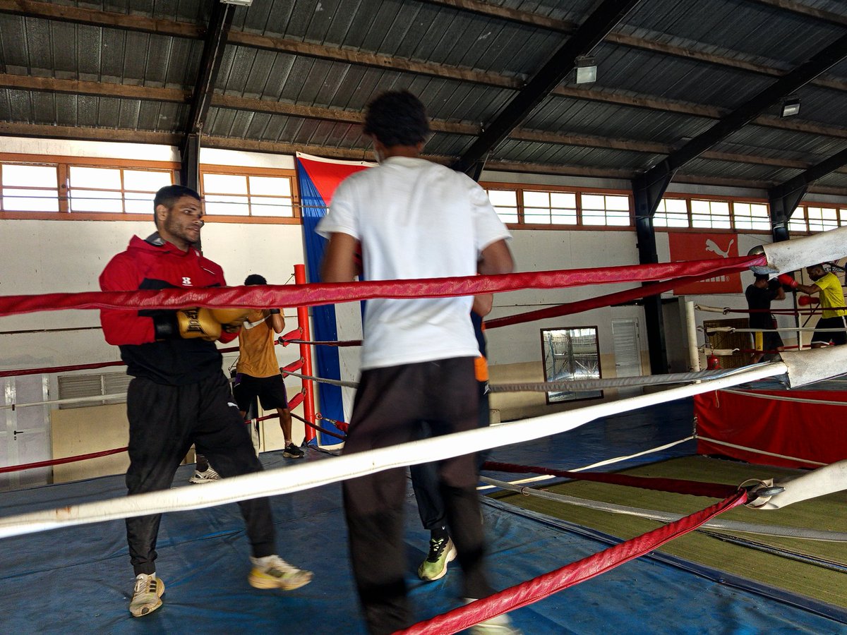 Guillermo Rodríguez Gato tweet media