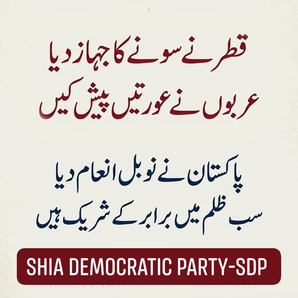 Elif Abe🇵🇰💫 tweet media