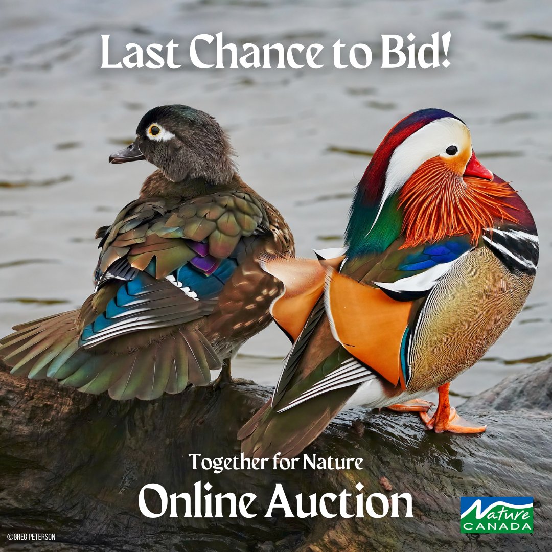 Nature Canada tweet media