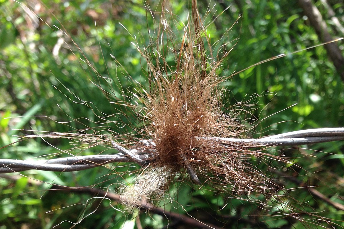 fRI Research tweet media