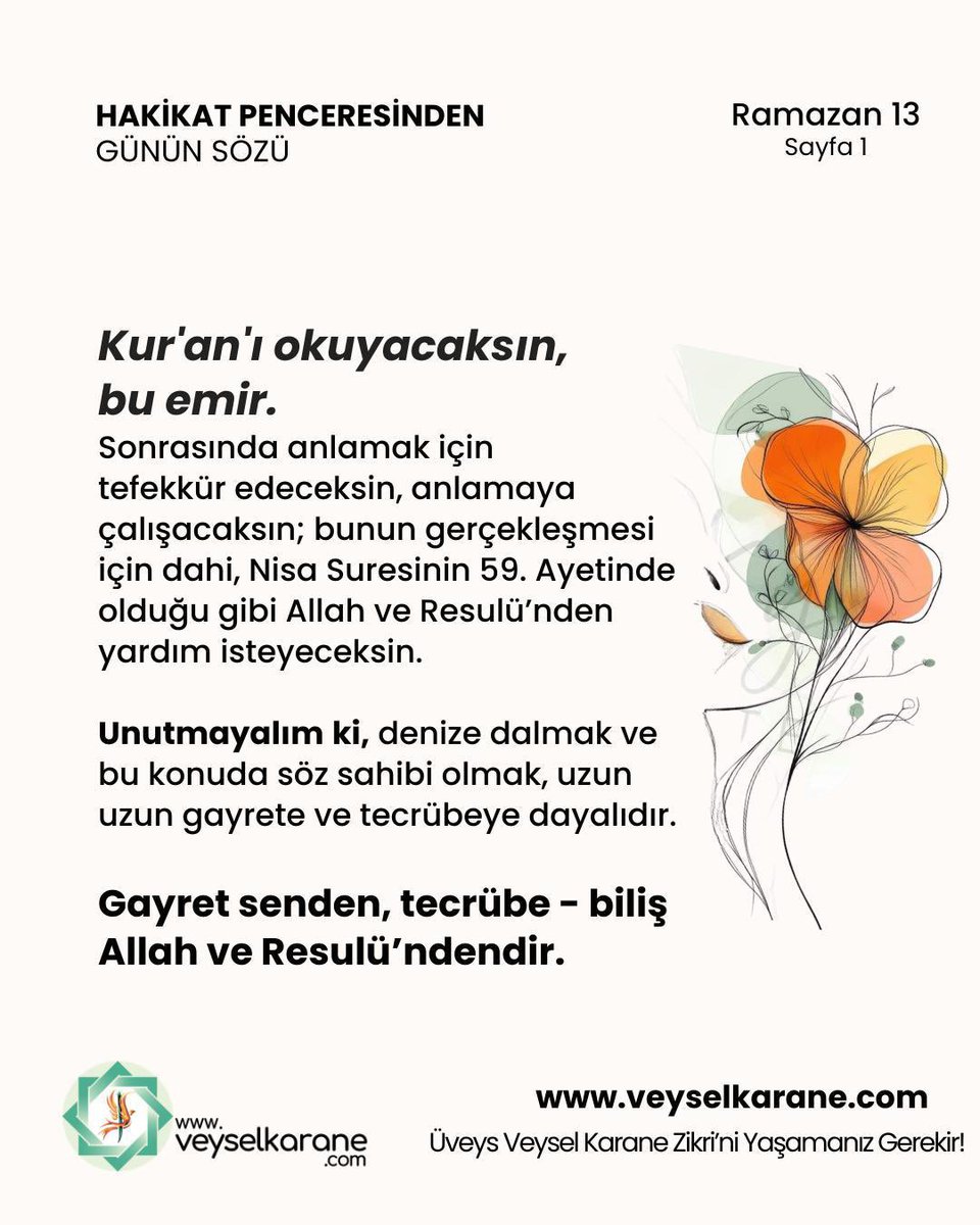 Özlem Okul tweet media