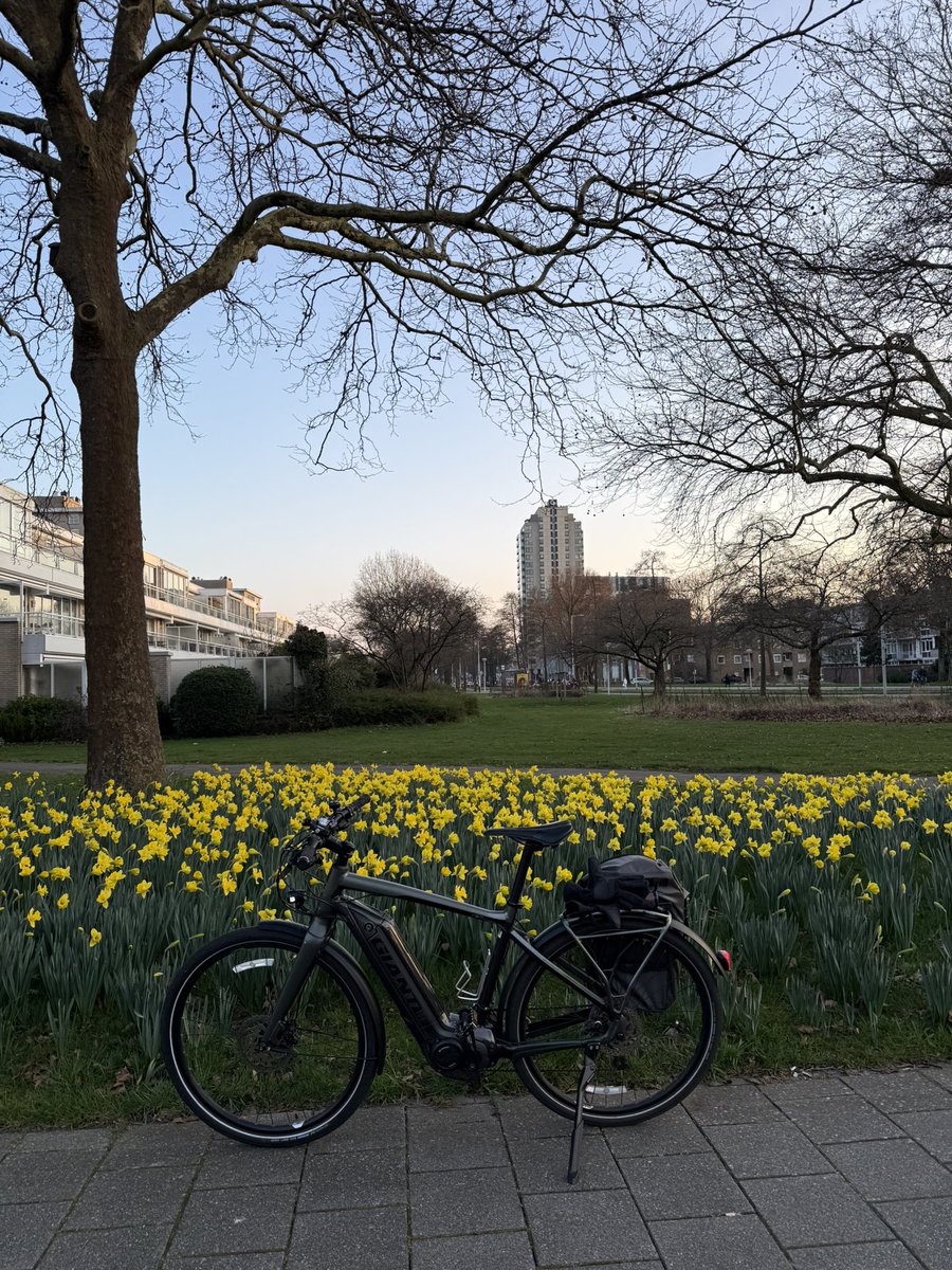 Dion Forster tweet media