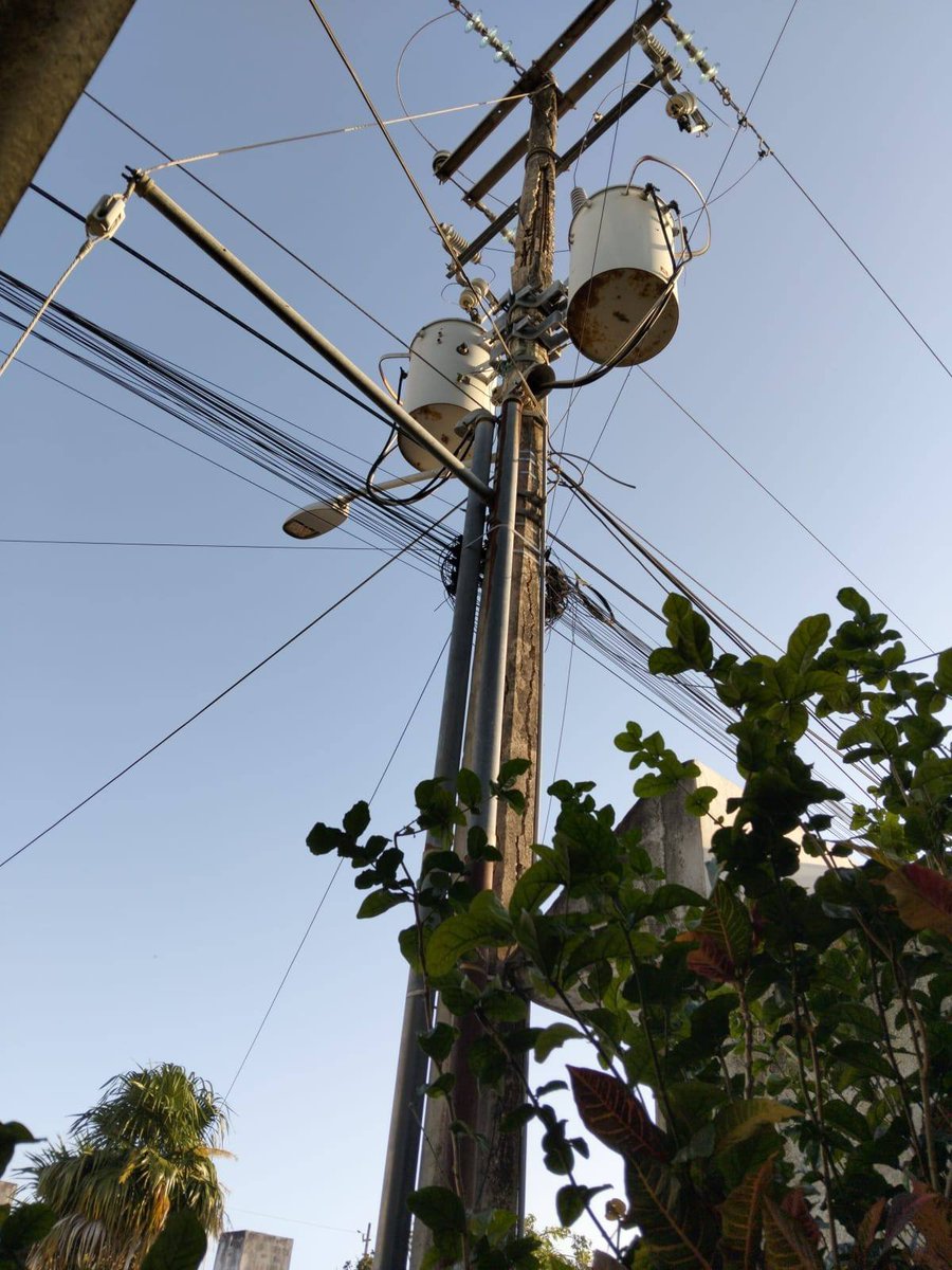 CANCUN VIVE tweet media