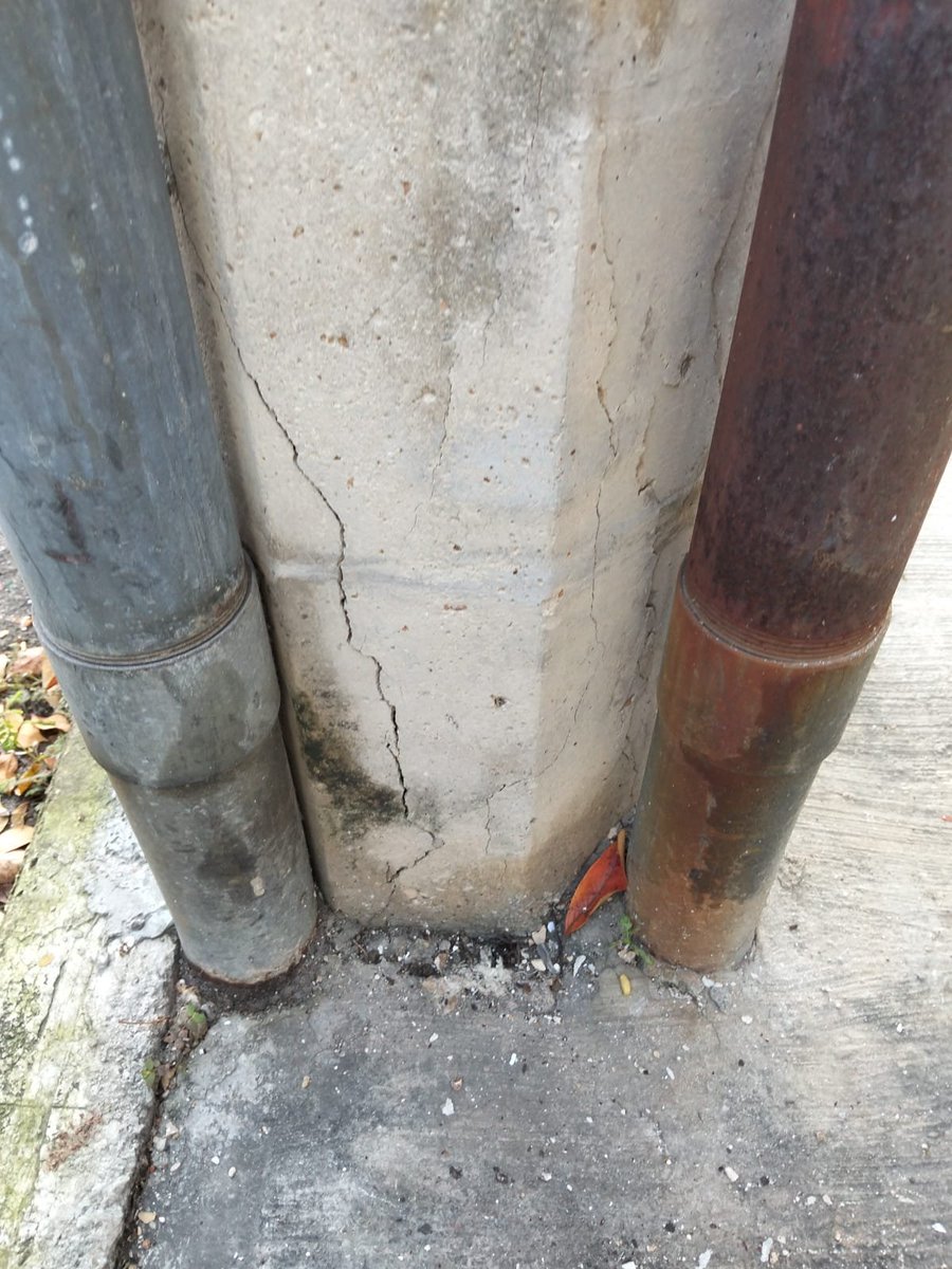 CANCUN VIVE tweet media