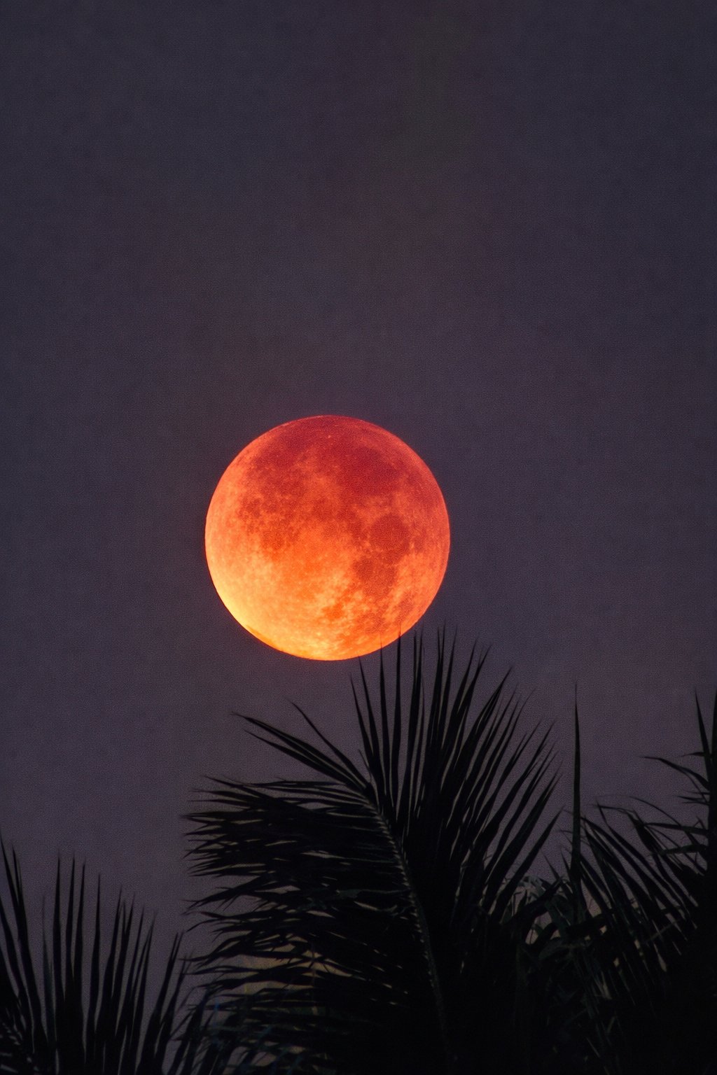2 pic. @AJamesMcCarthy my guy can you rate this photo I took of the eclipse with my phone? Second image is just AI enhanced lol https://t.co/YHsd6obIpV