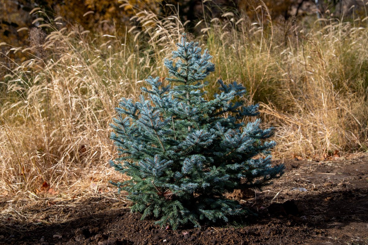 Coalition to Support Iowa's Farmers tweet media