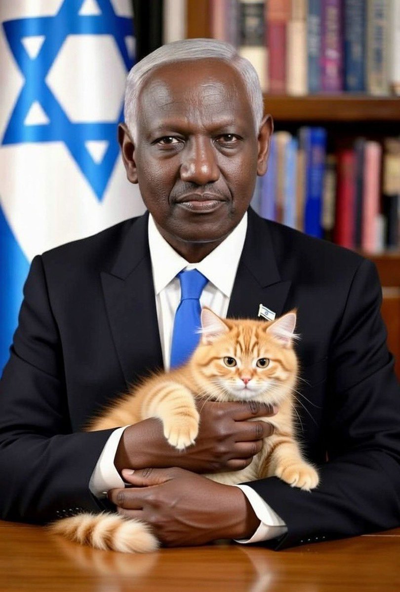 Bony 📚 tweet media