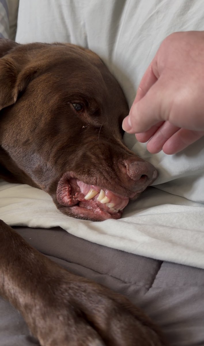 ry, that racc guy tweet media