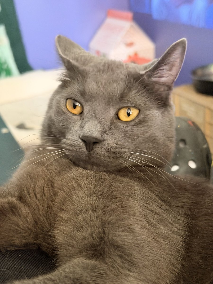 ry, that racc guy tweet media