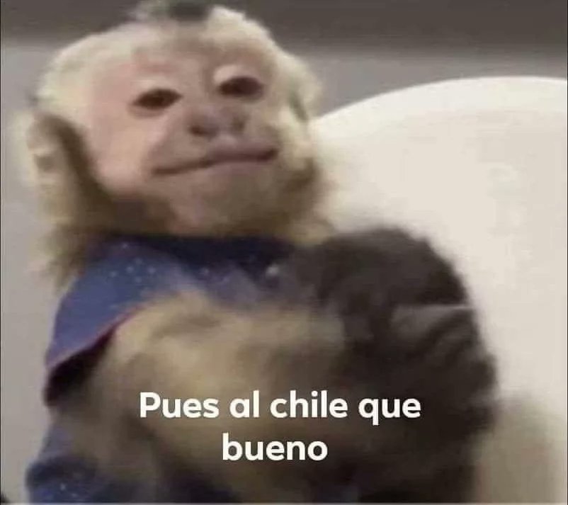 Europa dejando solo al pedófilo de la Casa Blanca. Y qué gusto.