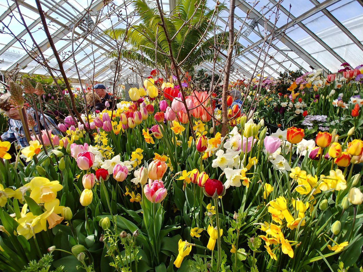 Ed Bourgeois tweet media