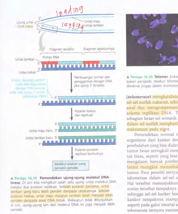 saaturnrosess's tweet image. 📓. 03 ◎ 03 ◎ 26 #LockIn 
aku happy banget karena finally to-do-list aku beneran tuntas...... terus puas bgt sama materi kali ini kayak HAPPY AJA GITU ^_____^