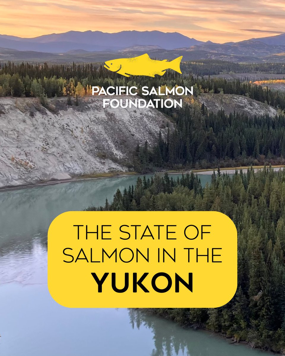 PACIFIC SALMON FOUNDATION tweet media