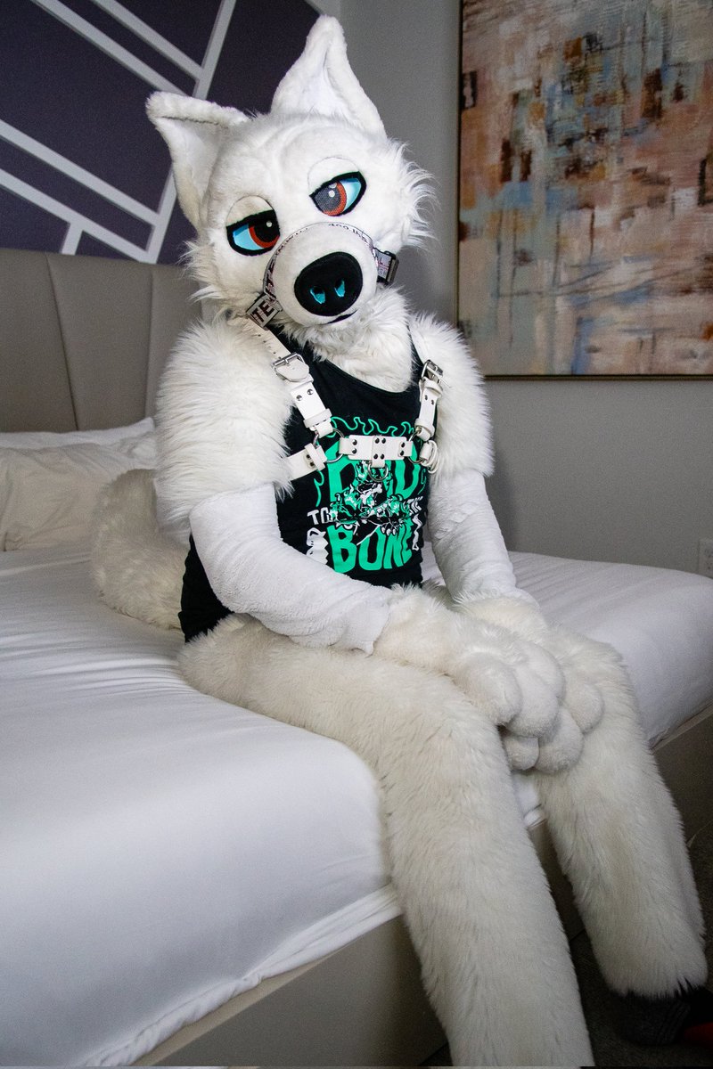 🐺 Frosty 🔜 FWA tweet media