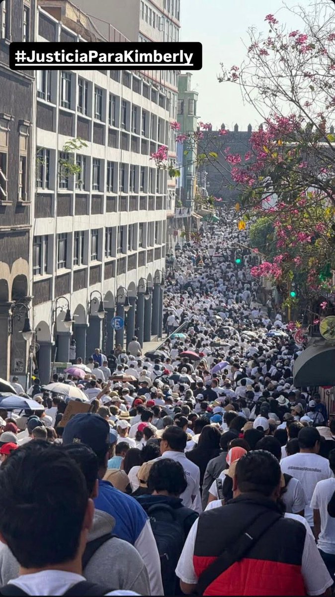 Desde el PRI nos sumamos a la exigencia de la ciudadanía de Morelos para que se esclarezca el feminicidio de Kimberly Ramos Beltrán, de tan solo 18 años de edad, alumna de la UAEM. Exigimos justicia pronta, investigación a fondo y castigo ejemplar a los responsables.

Pero