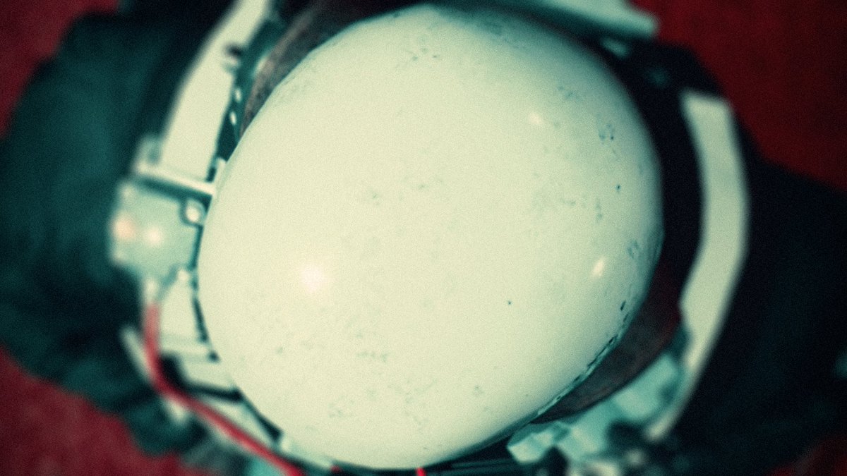 Adamir Sefwick tweet media