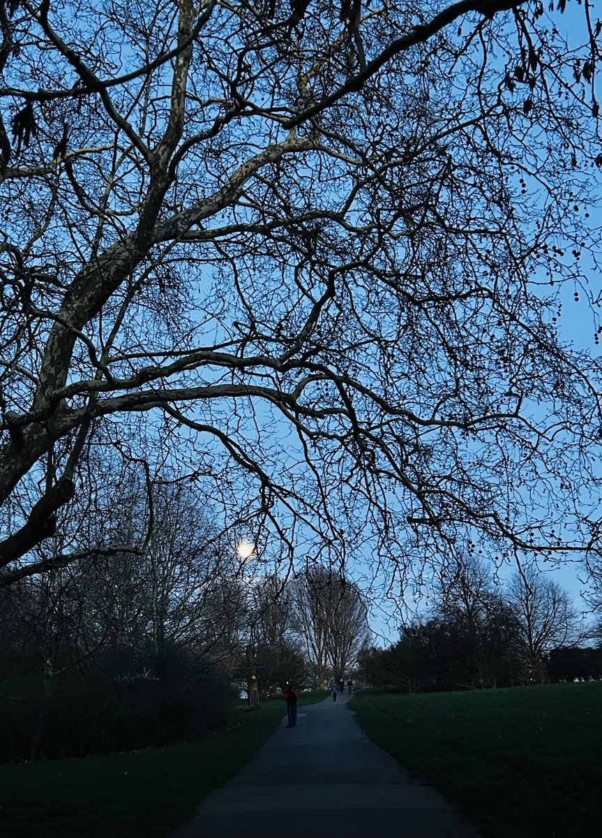LynnParsonsUK's tweet image. William Our Friend in St John’s Wood Love this #FullMoon #WindowOnYourWorld captured through the Trees in the Park at Dusk thanks for sharing 💙🙏