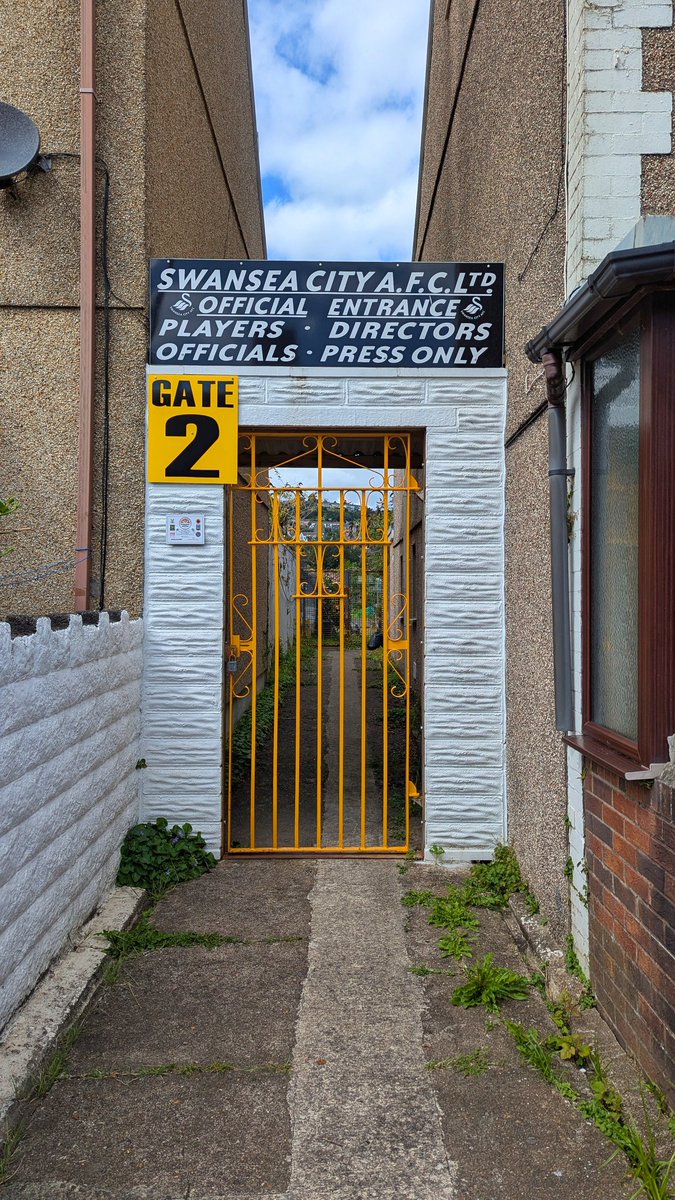 Michael Rees tweet media