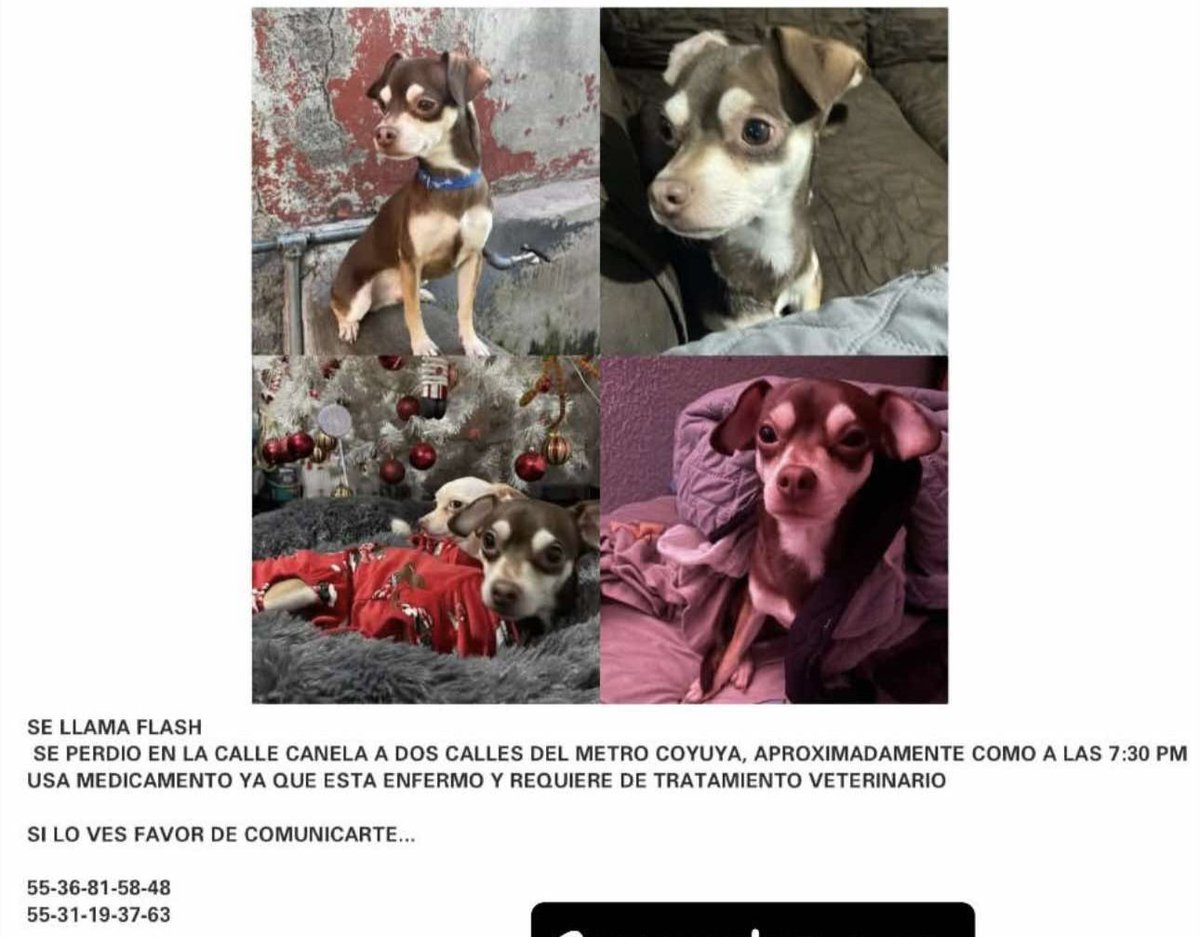 Iztacalco Noticias tweet media