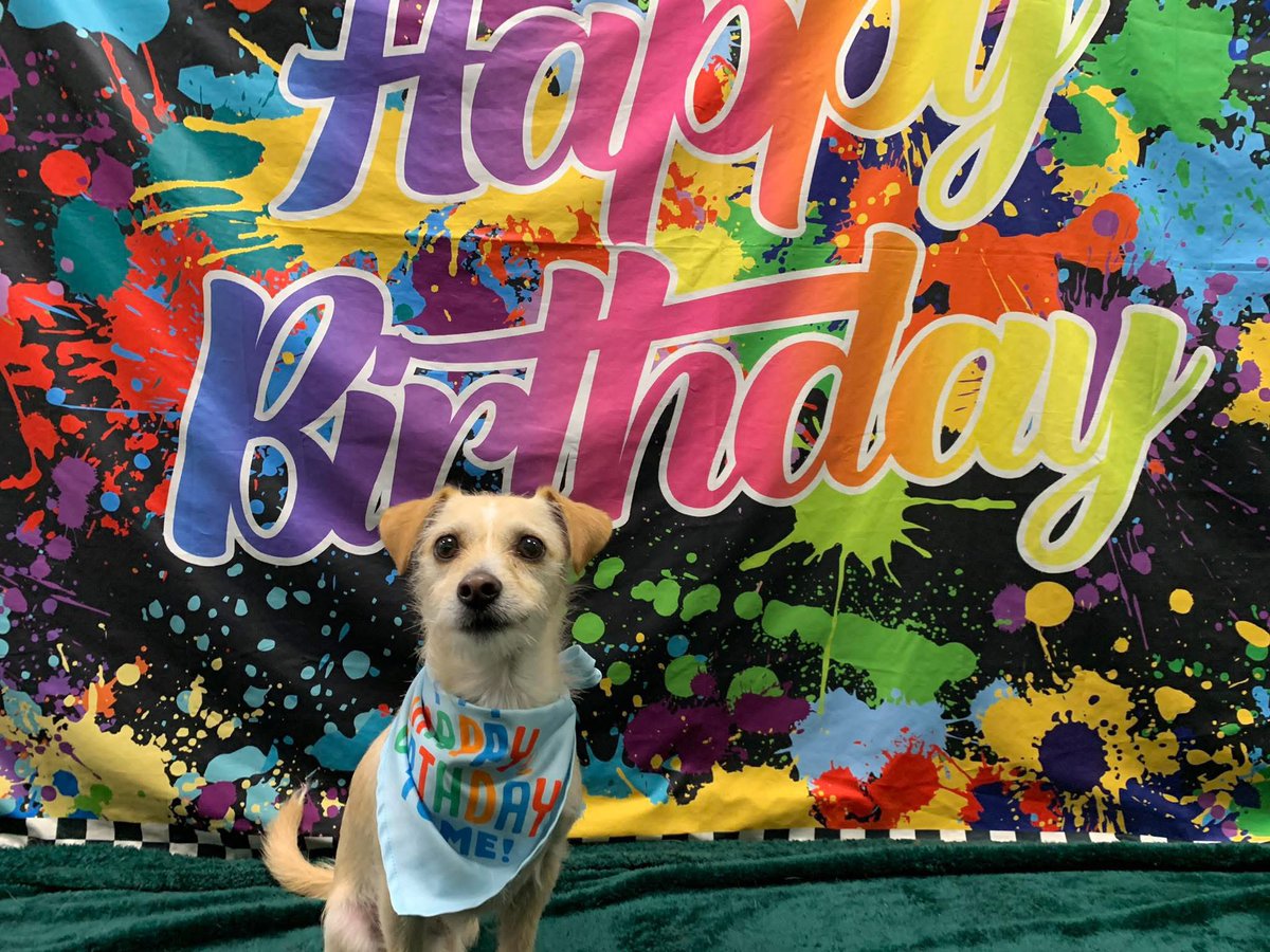 Happy 2nd birthday to my firstborn🥺💛