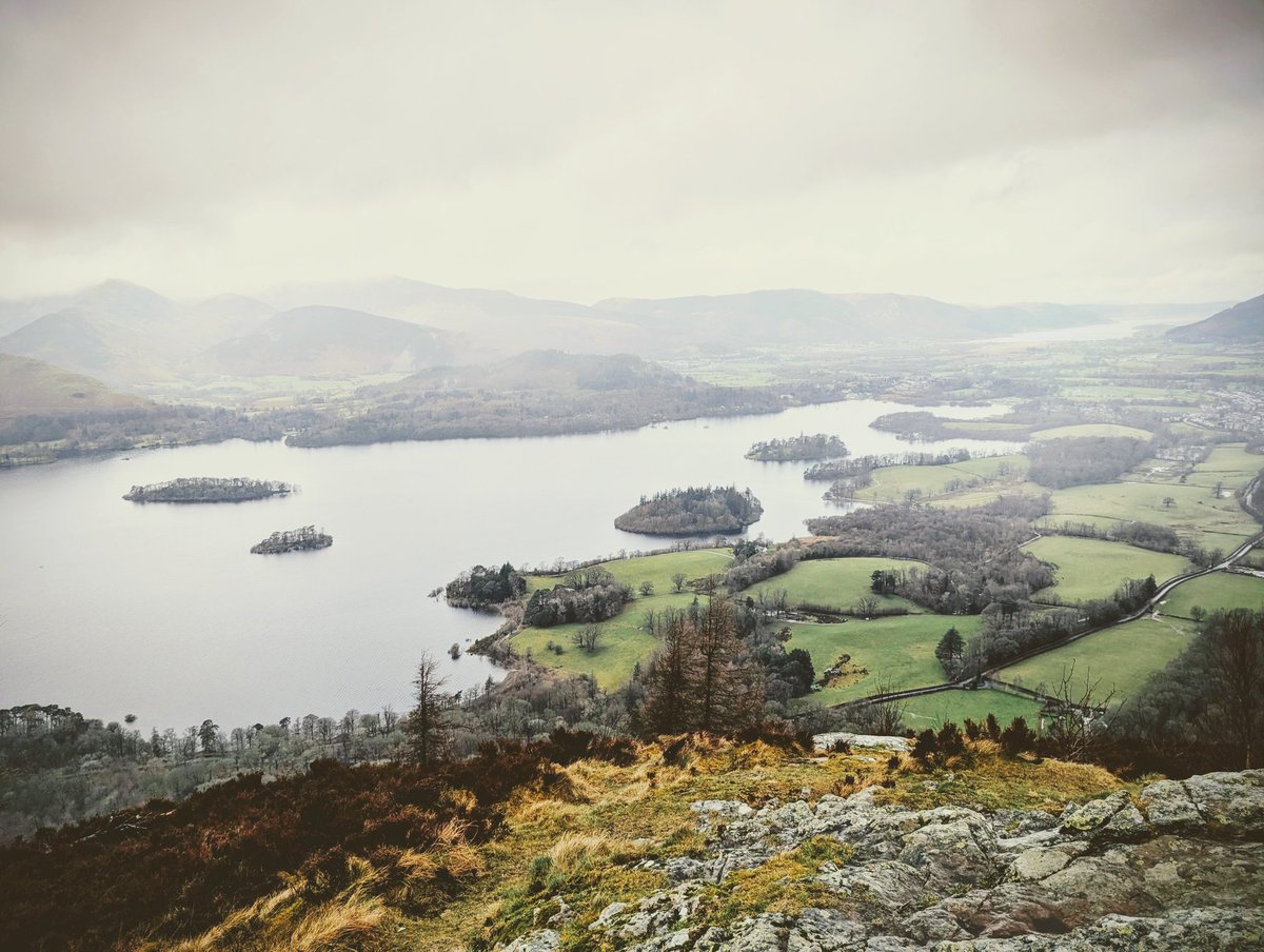 Fisted Colossus tweet media