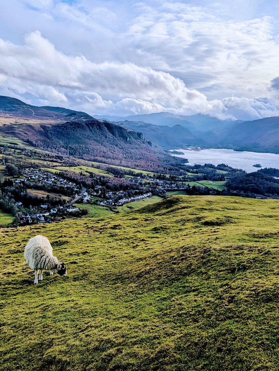 Fisted Colossus tweet media