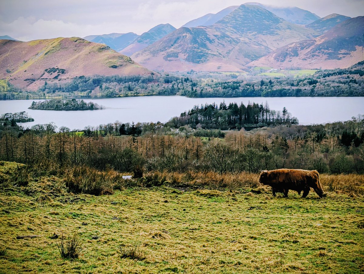 Fisted Colossus tweet media