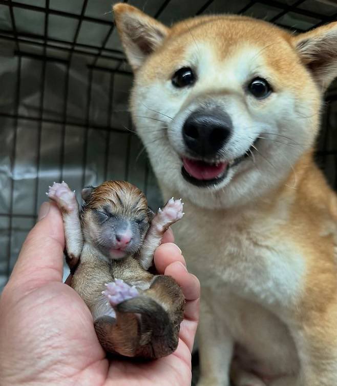 James Kim tweet media