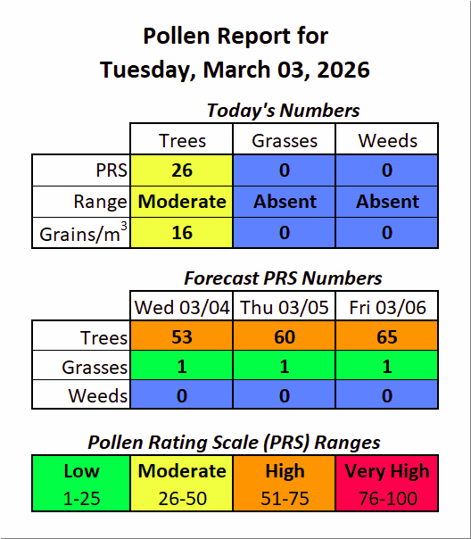 Forsyth County, NC Pollen tweet media
