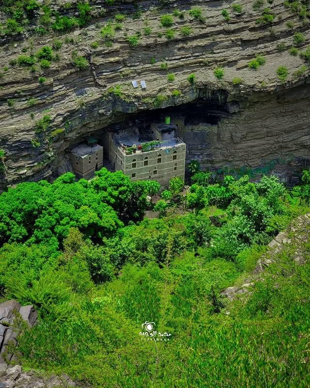 Faisal Saeed Farea (@faisalsaedfarea) on Twitter photo 