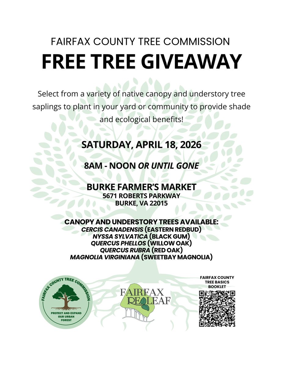 ffxpublicworks's tweet photo. ๐ธ๐ณ The Fairfax County Tree Commission Spring 2026 Tree Giveaway is coming!
This yearโs native trees include:
โข Eastern Redbud
โข Black Gum
โข Willow Oak
โข Red Oak
โข Sweetbay Magnolia
Support pollinators, birds and a healthier environment ๐
#PlantNative #TreeGiveaway https://t.co/2VxTABpjvZ