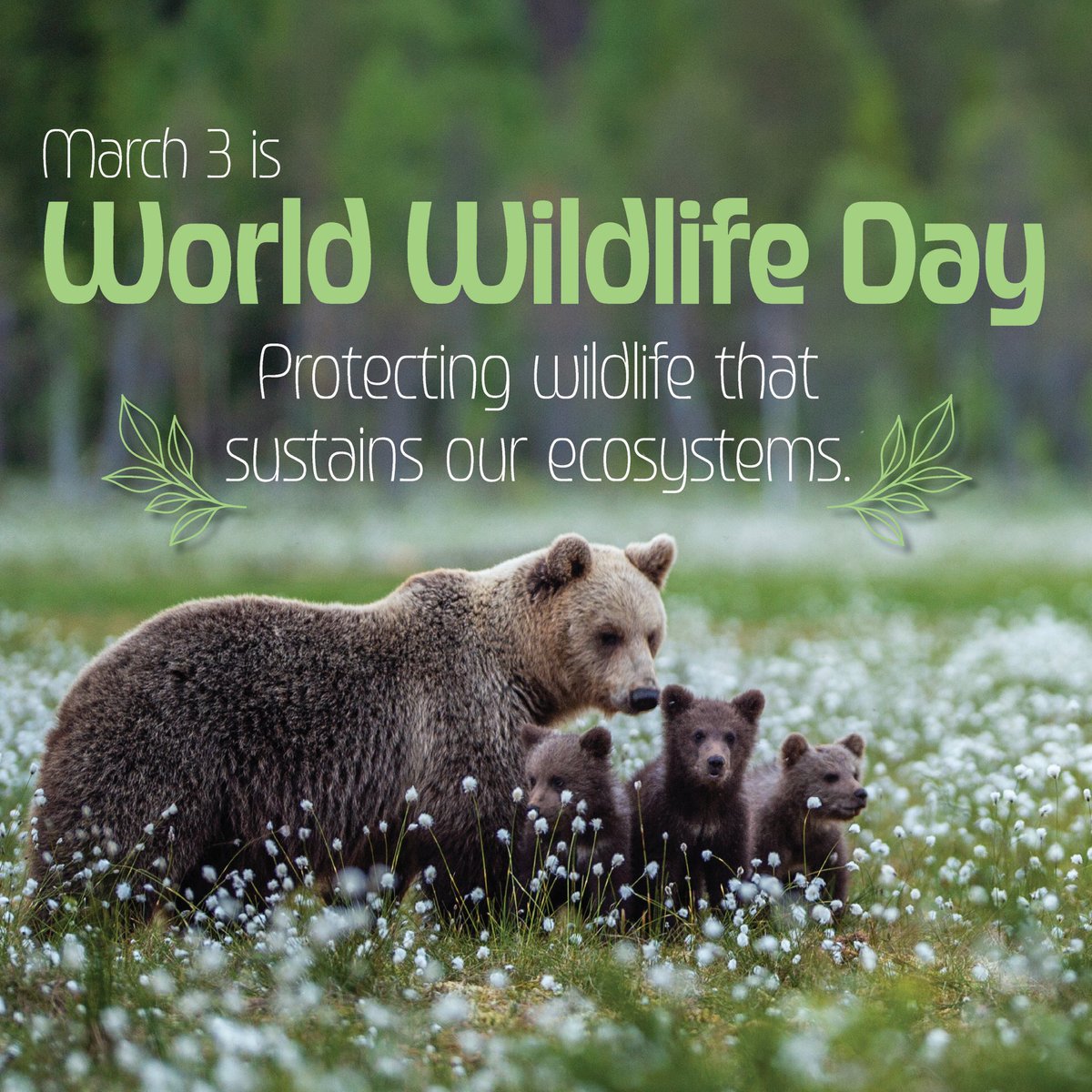 Al Stirpe, Assembly tweet media