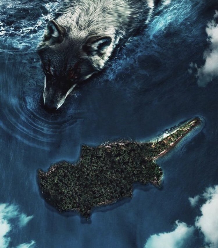 Ülkücü Hareket (@ulkucuresmitc) on Twitter photo 