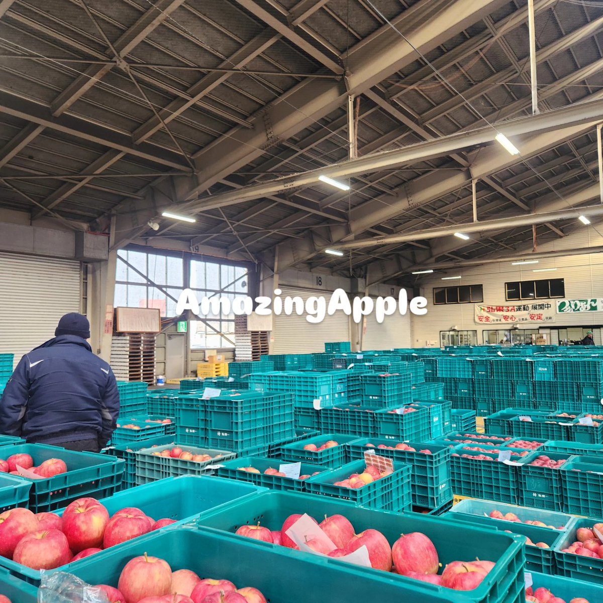 AmazingApp40969's tweet photo. おはようございます
AmazingApple 中田です。
昨日は市場へりんごをみにいってきました。今年も高値傾向だった感じはします🍎
1日頑張りましょう🙇
#AmazingApple
#りんご
#りんご農家
#農家産直
#青森 https://t.co/qUDuIiPs6W