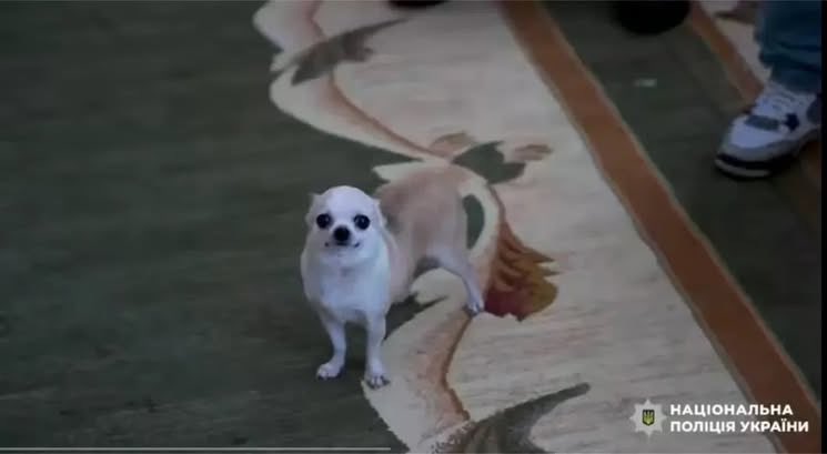 ТАСАМА неідеальна ювелірна крамничка tweet media