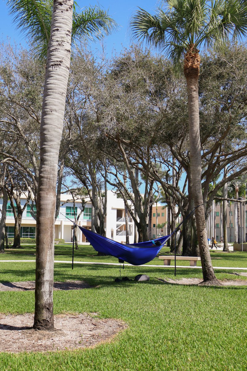 Florida Atlantic University tweet media