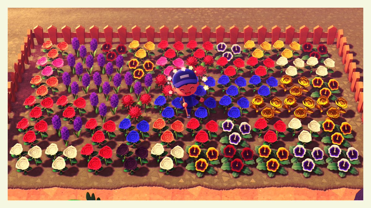 😍🌻💖 #NintendoSwitch2 #AnimalCrossing #ACNH