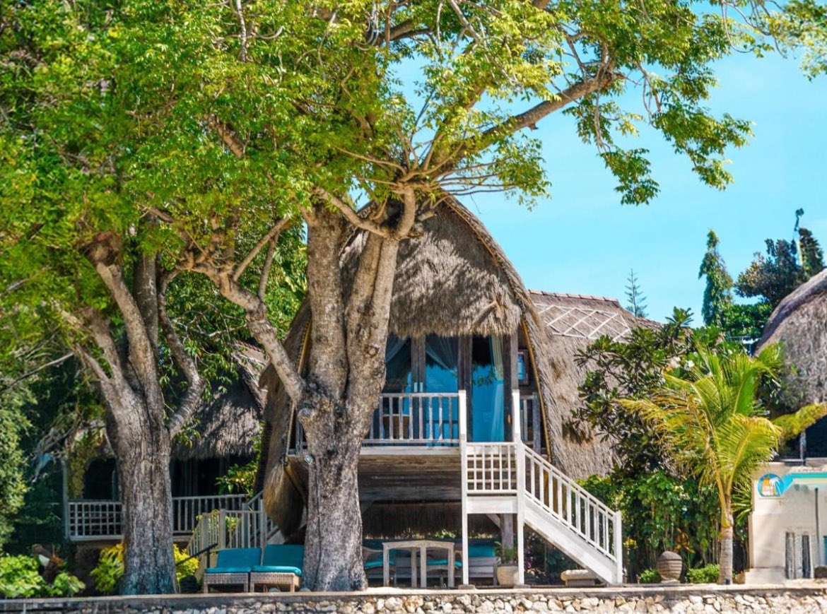 ﮼الباسل 🏝﮼عمدة،بالي🏝 tweet media