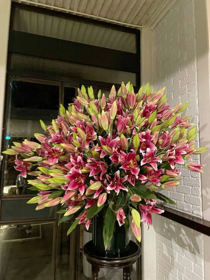 Mariam • tweet media