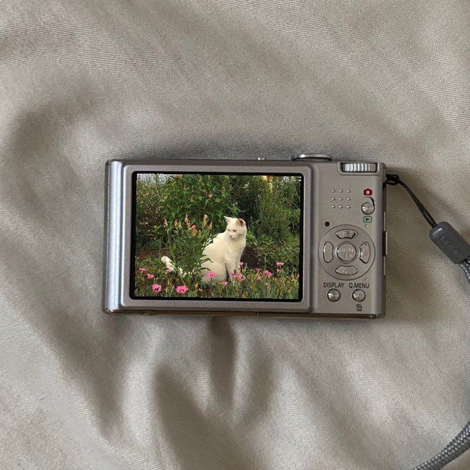 ᅠ ᅠ tweet media