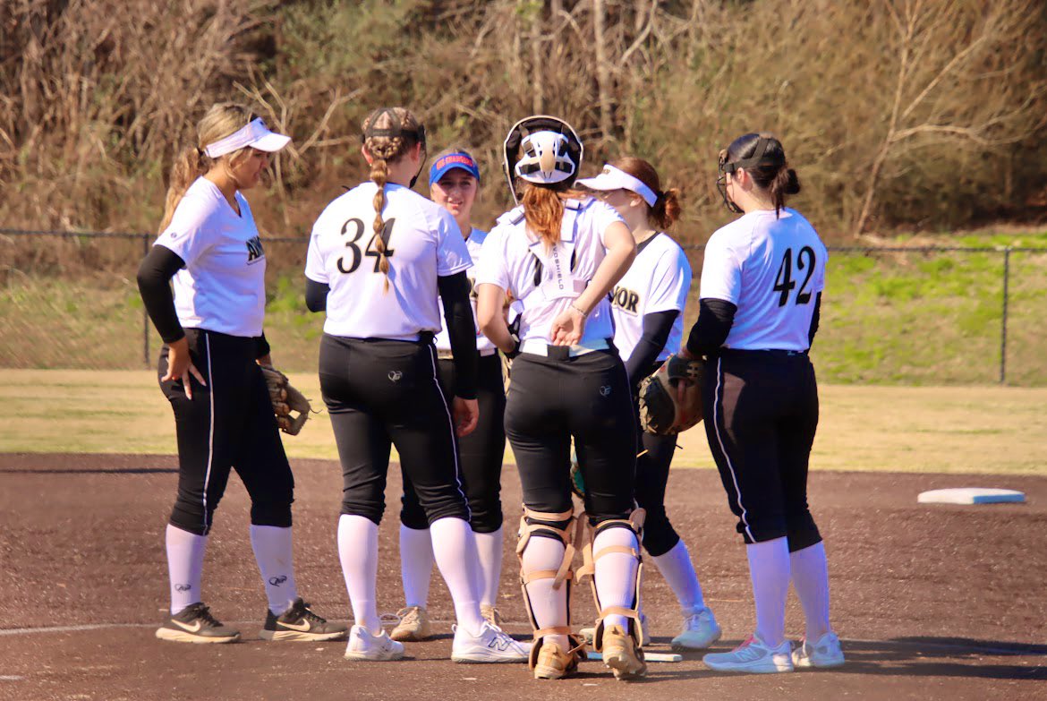 Elizabeth Bare tweet media