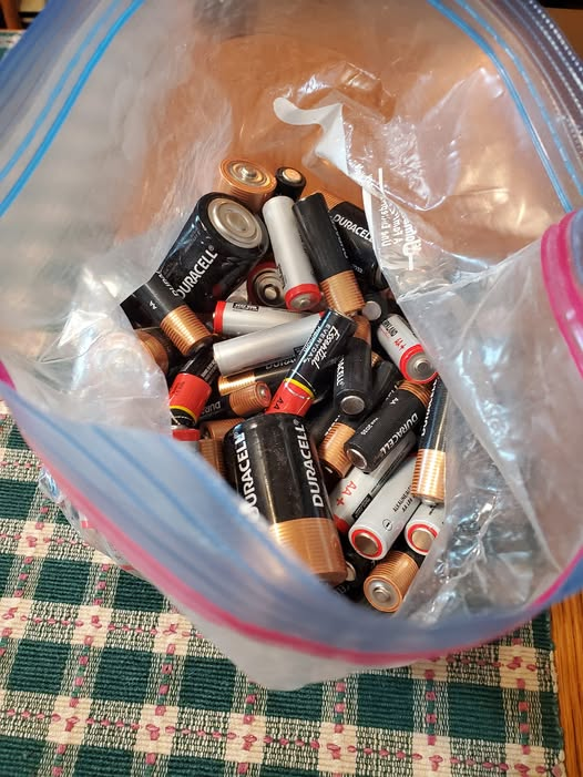 Jackson McKay tweet media