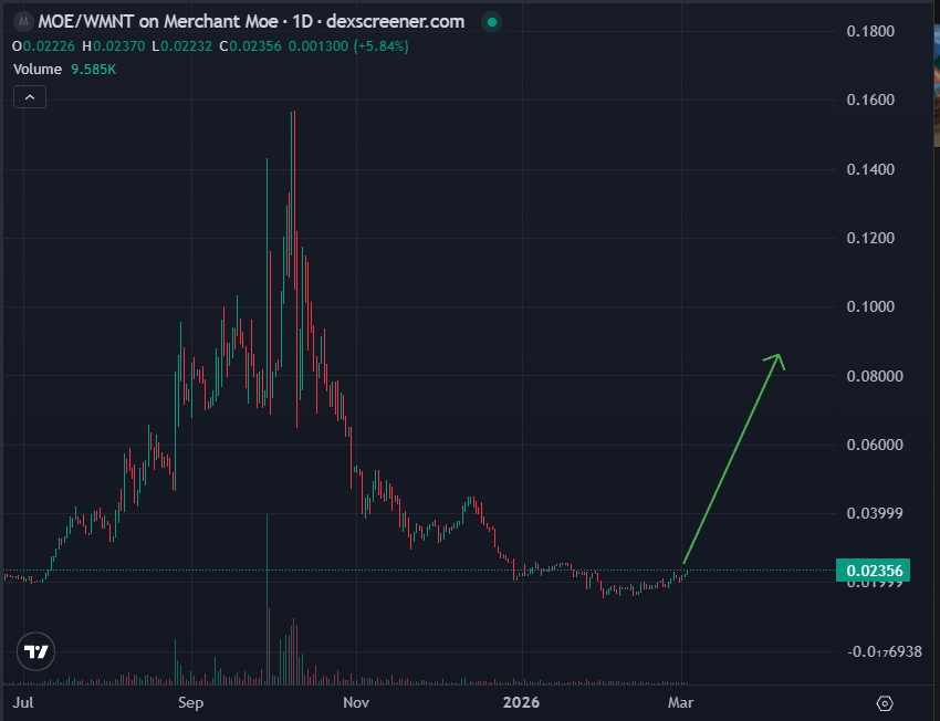 L🔺️AVAX🫐 tweet media