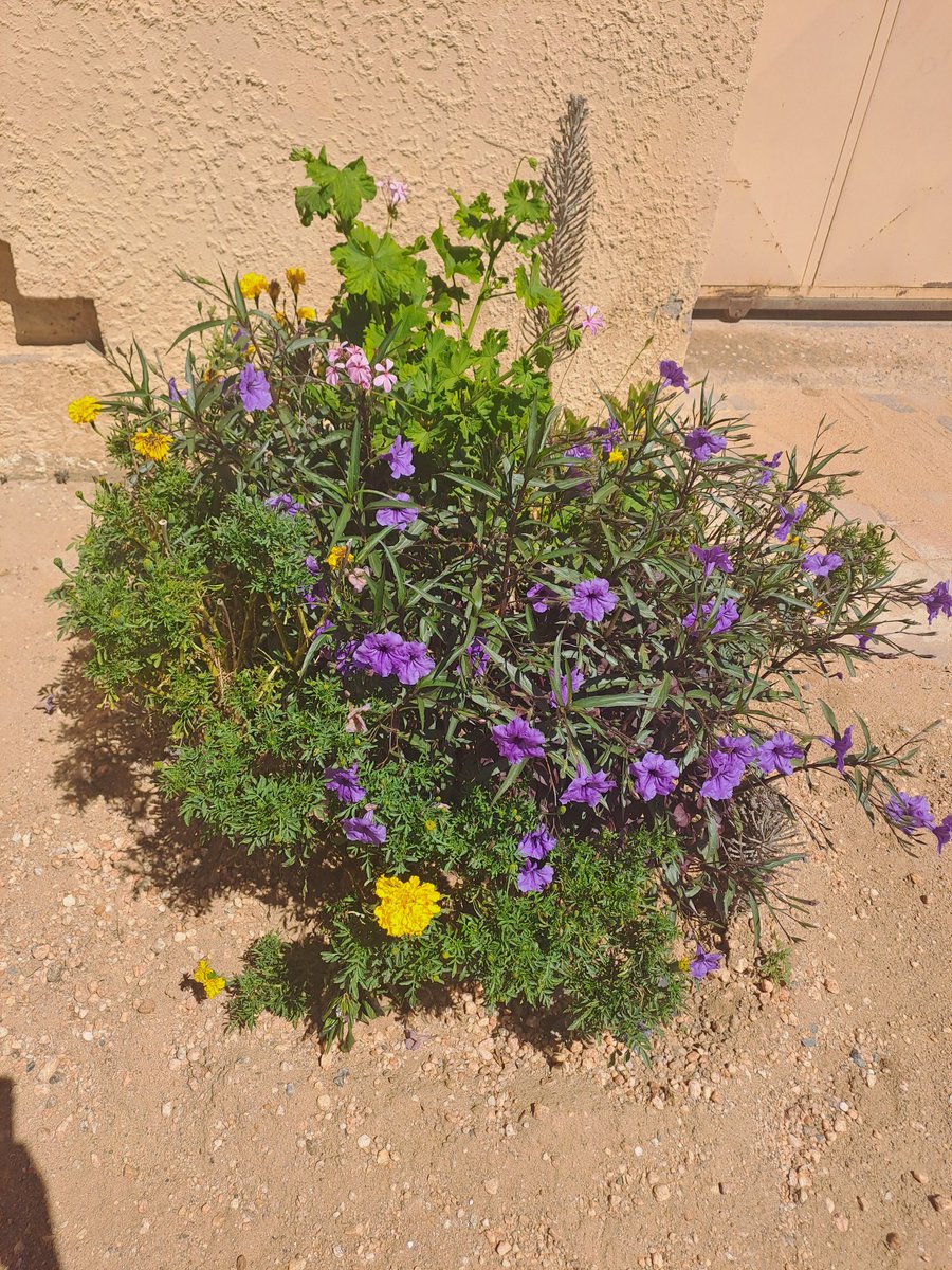 MannyR76 tweet media