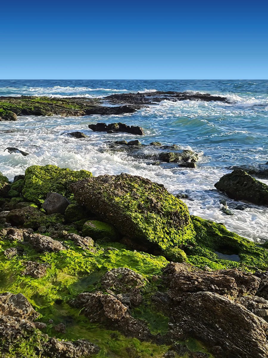 Cal, the Artist tweet media